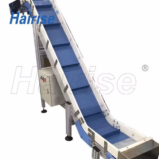 Hairise Food Grade Modular Belt Conveyor System with ISO